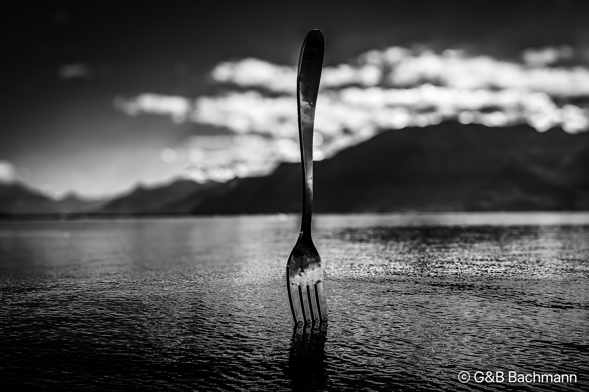 Vevey_0001-Modifier.jpg