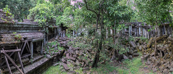 108A8177-Pano.jpg
