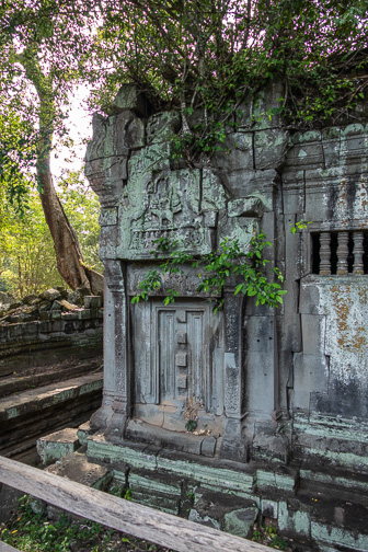 _1110812.jpg