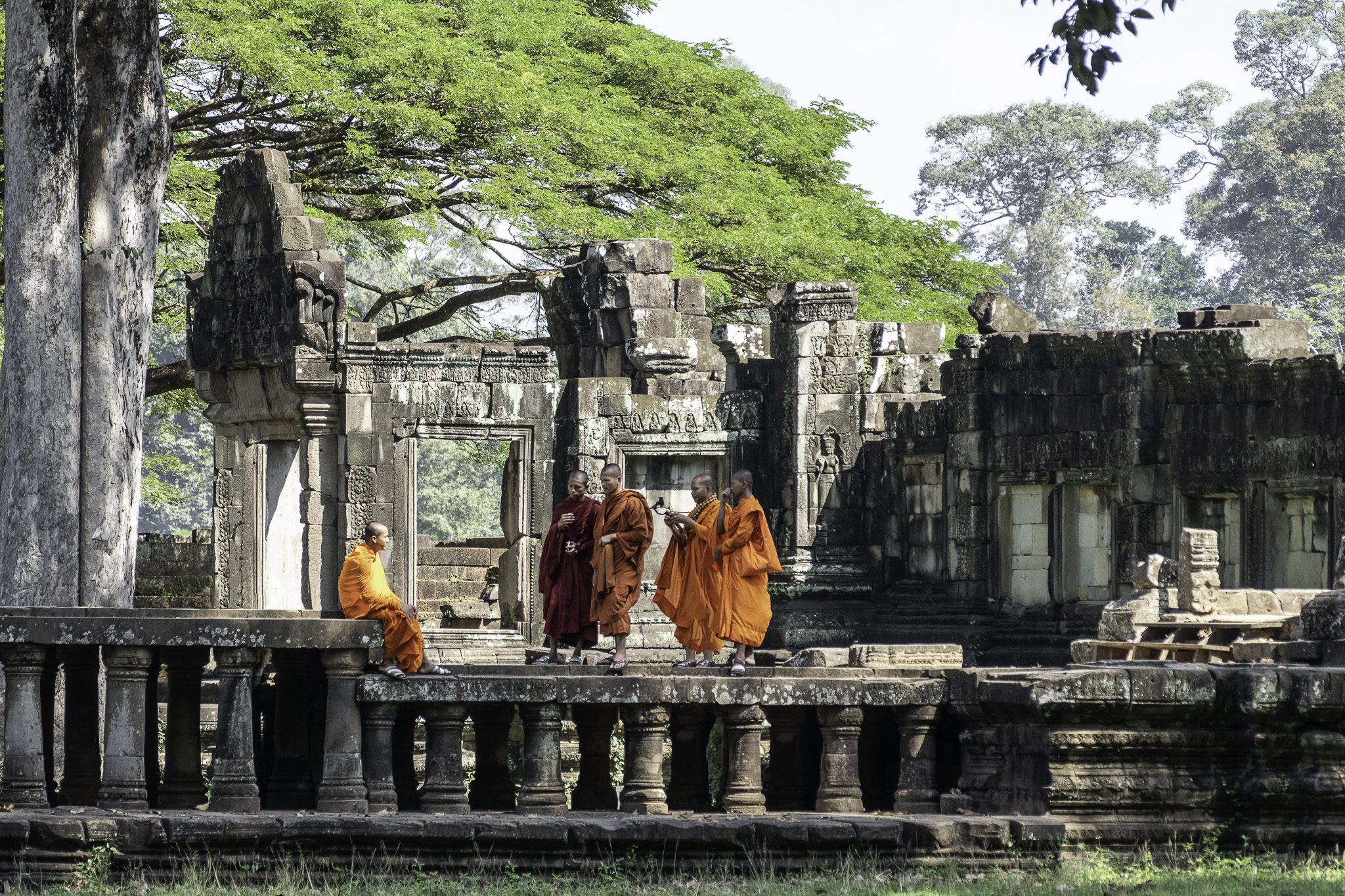 202001_Cambodia_Baphuon-Temple.jpg