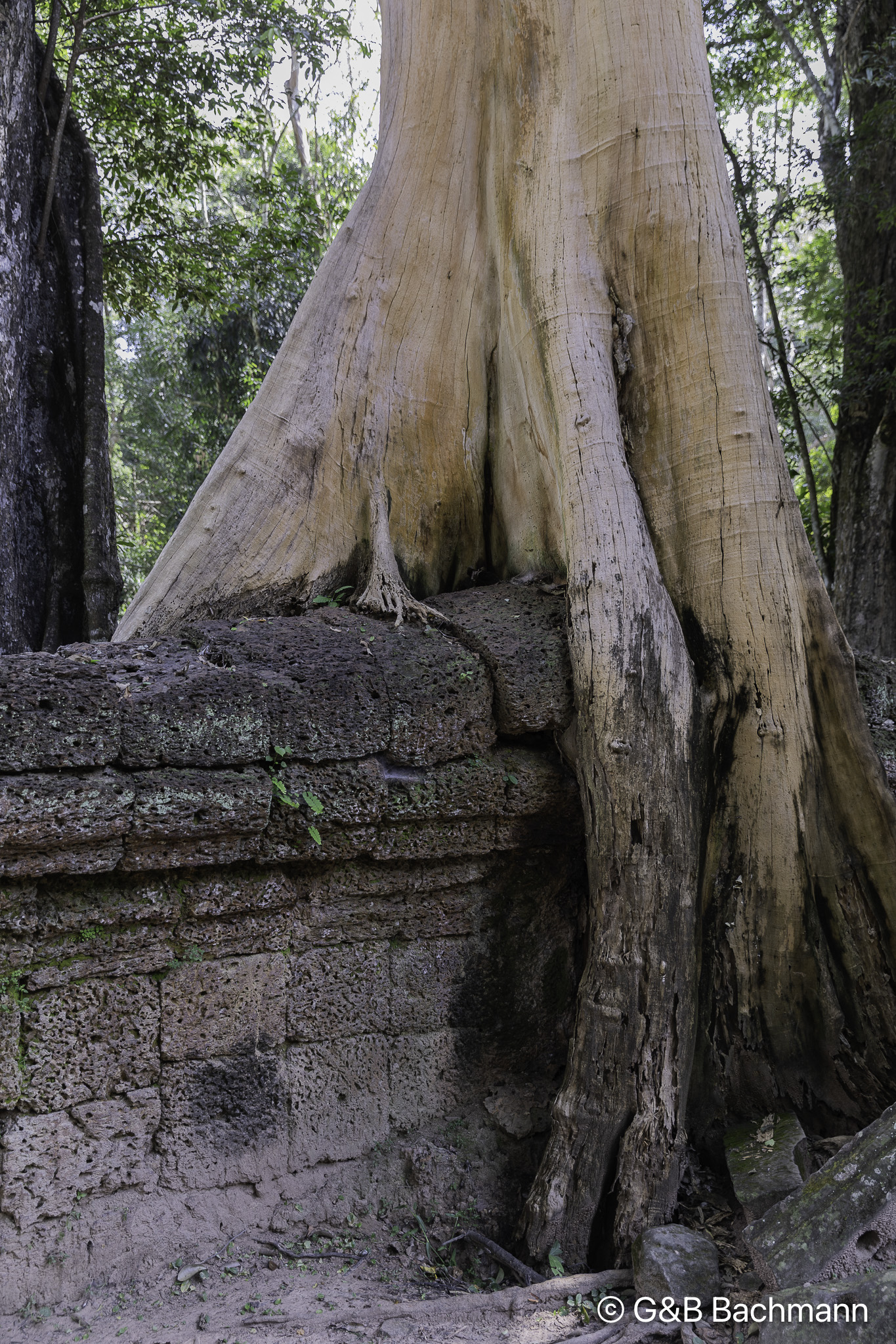 108A7635.jpg