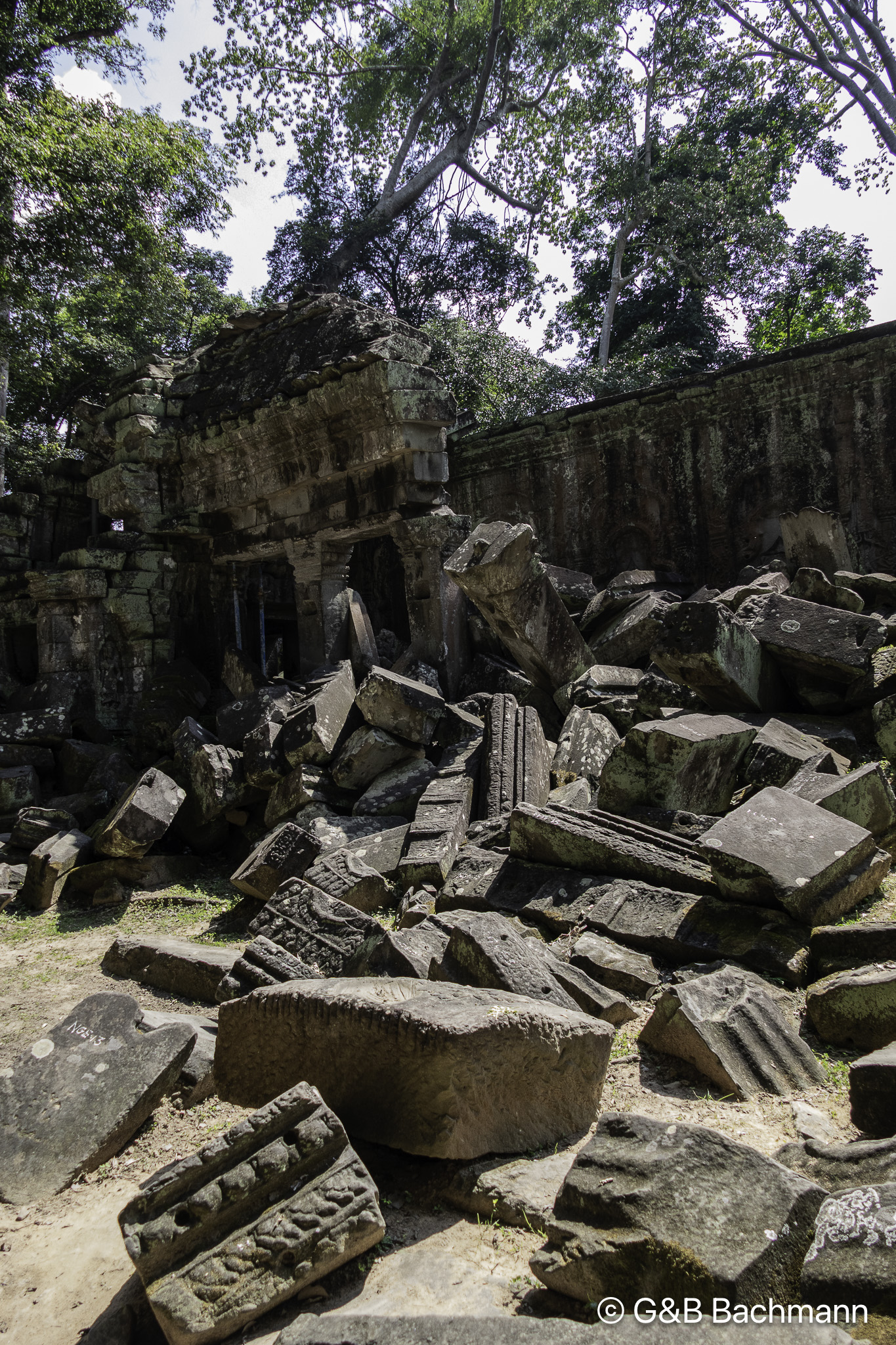 _1110510.jpg