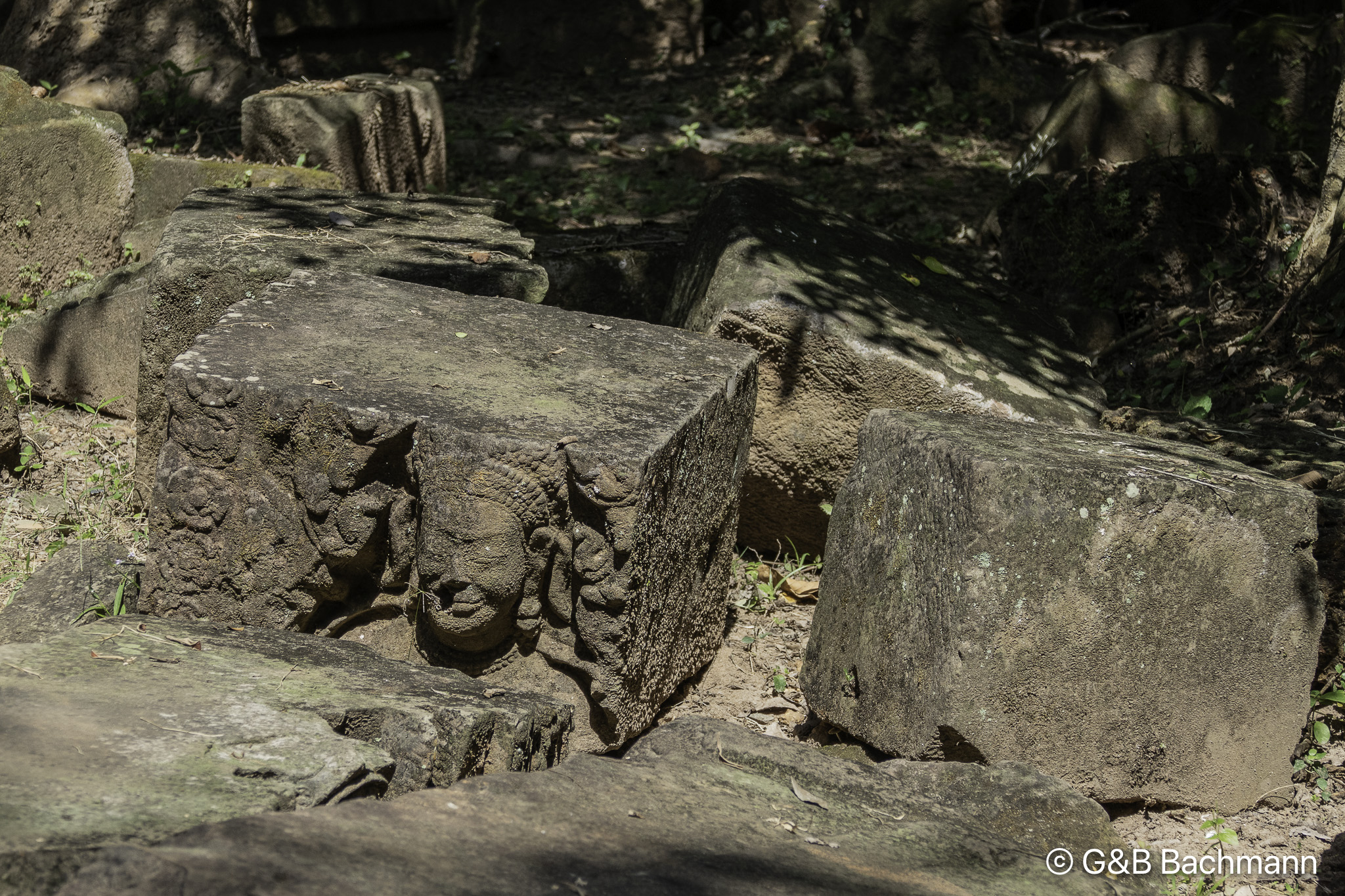 _1110552-Modifier.jpg