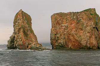 Perce