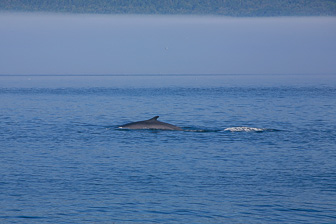Tadoussac_0036.jpg