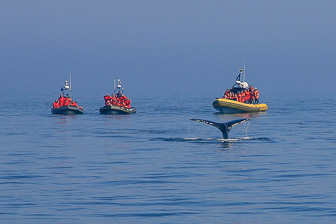 Tadoussac_0040.jpg