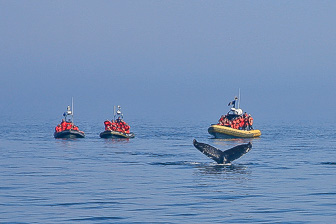 Tadoussac_0041.jpg