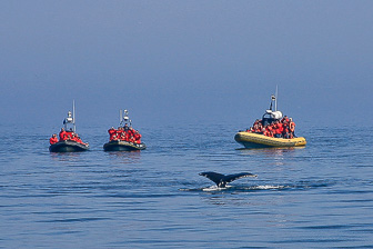 Tadoussac_0045.jpg