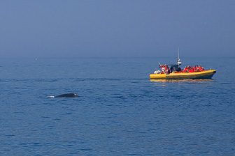 Tadoussac_0051.jpg