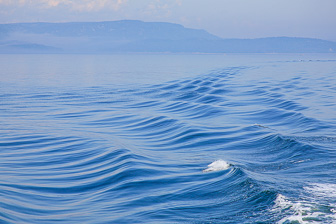 Tadoussac_0063.jpg