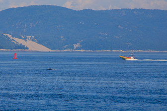 Tadoussac_0084.jpg