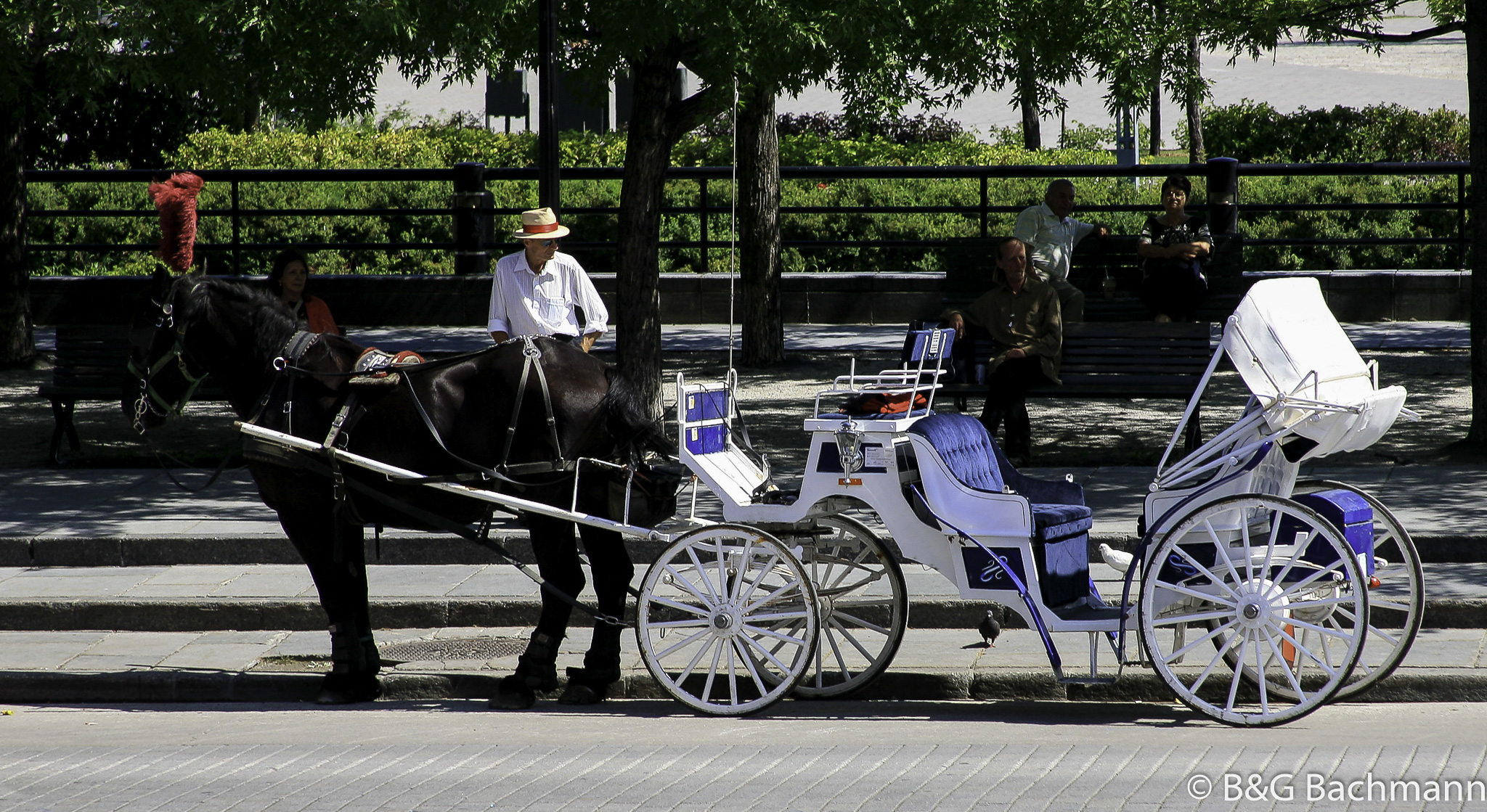 Montreal_0079.jpg