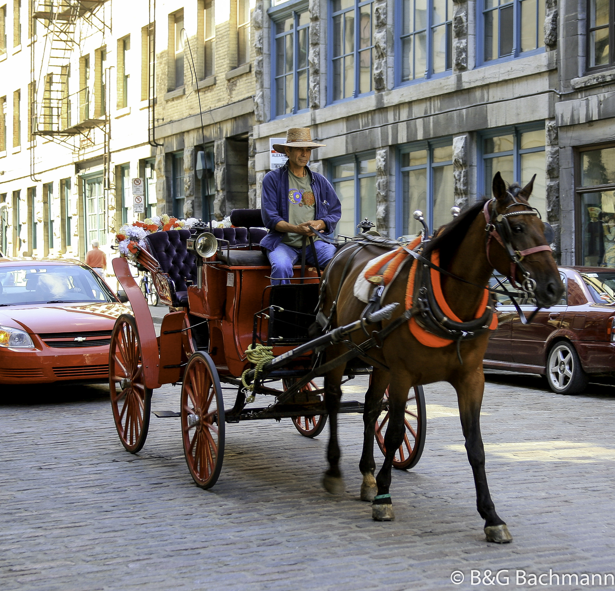 Montreal_0089.jpg