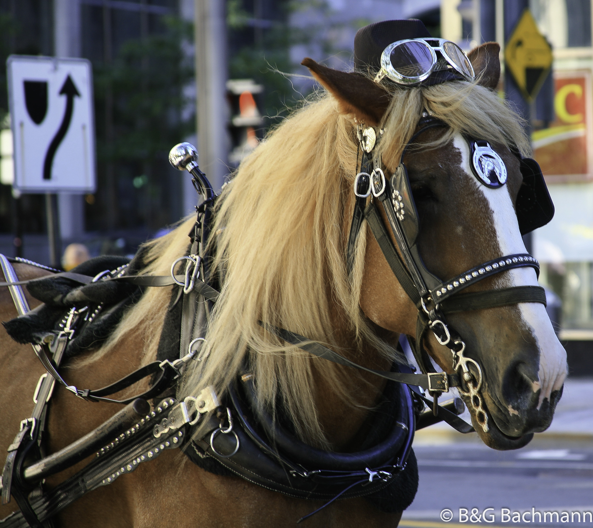 Montreal_0096.jpg