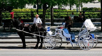 Montreal_0079.jpg