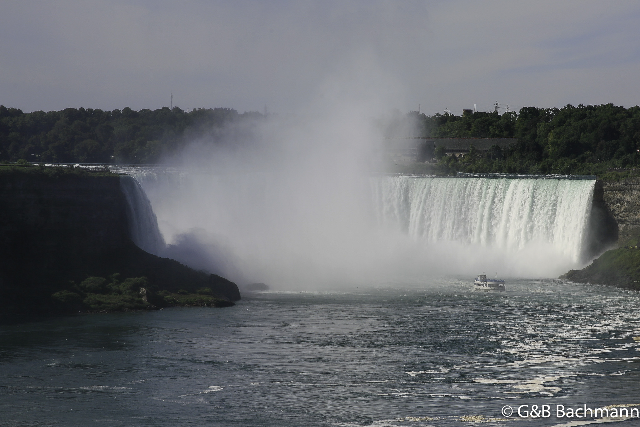 _MG_8876291.jpg