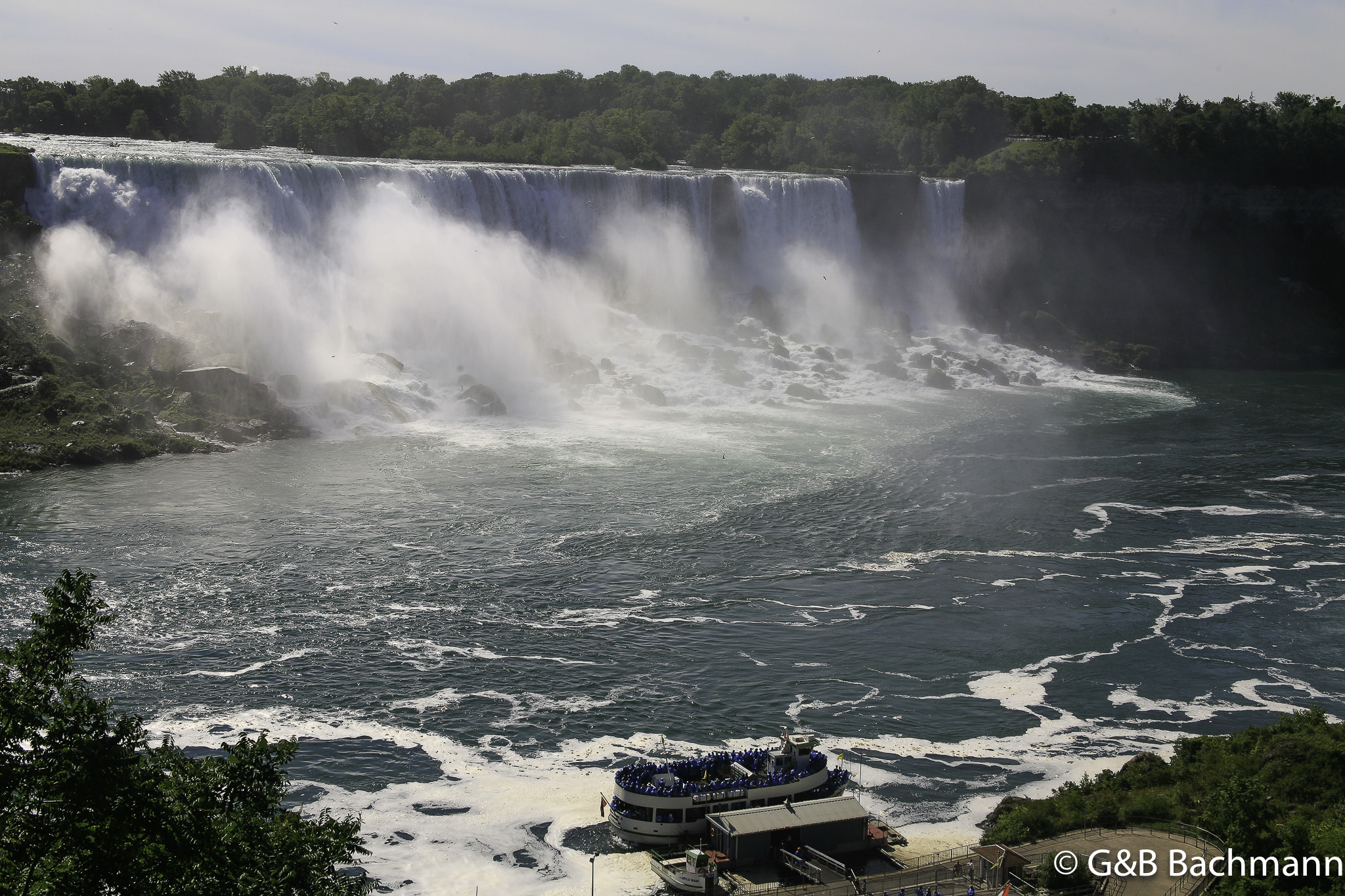 _MG_8890277.jpg