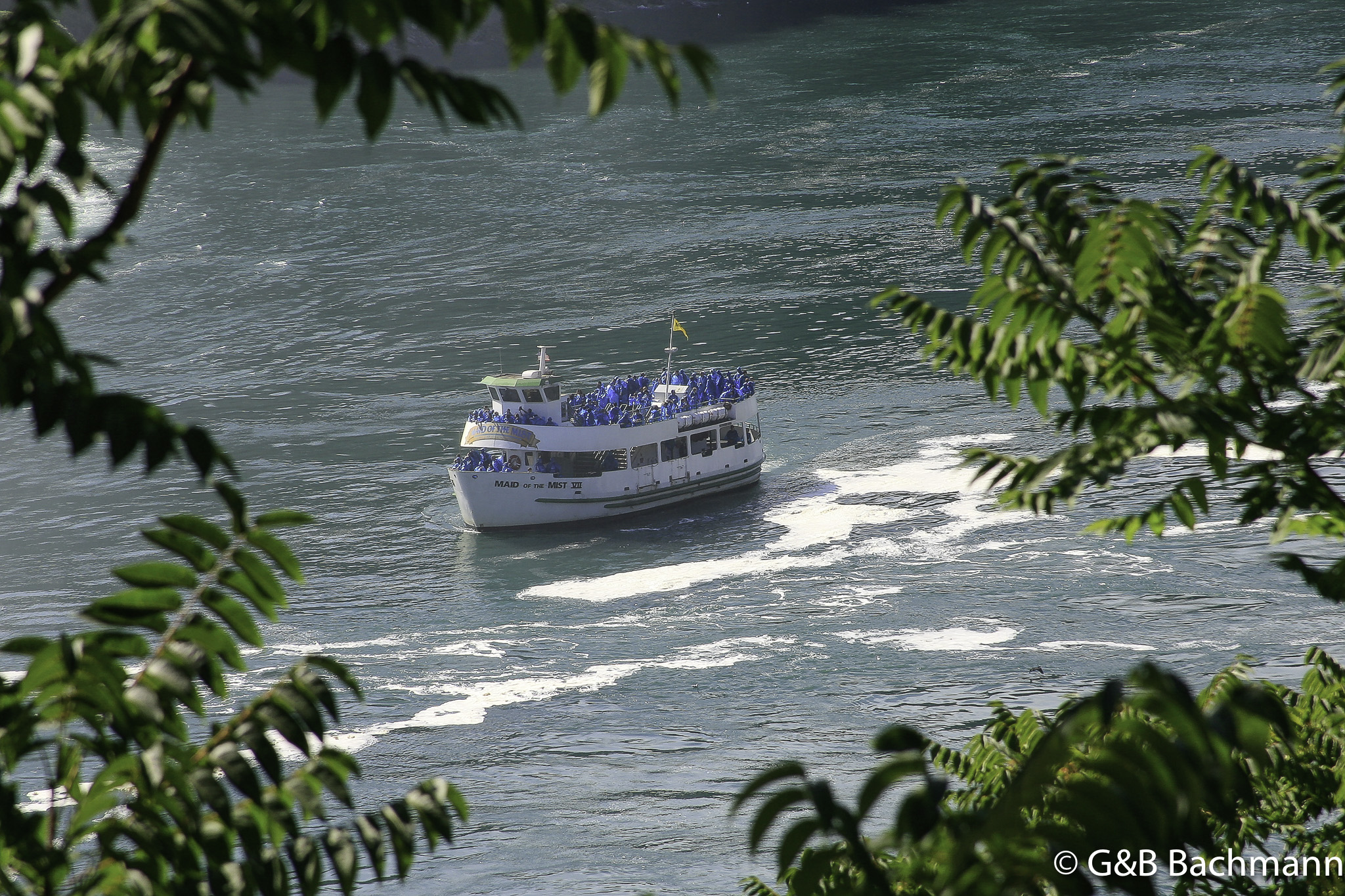 _MG_8891276.jpg