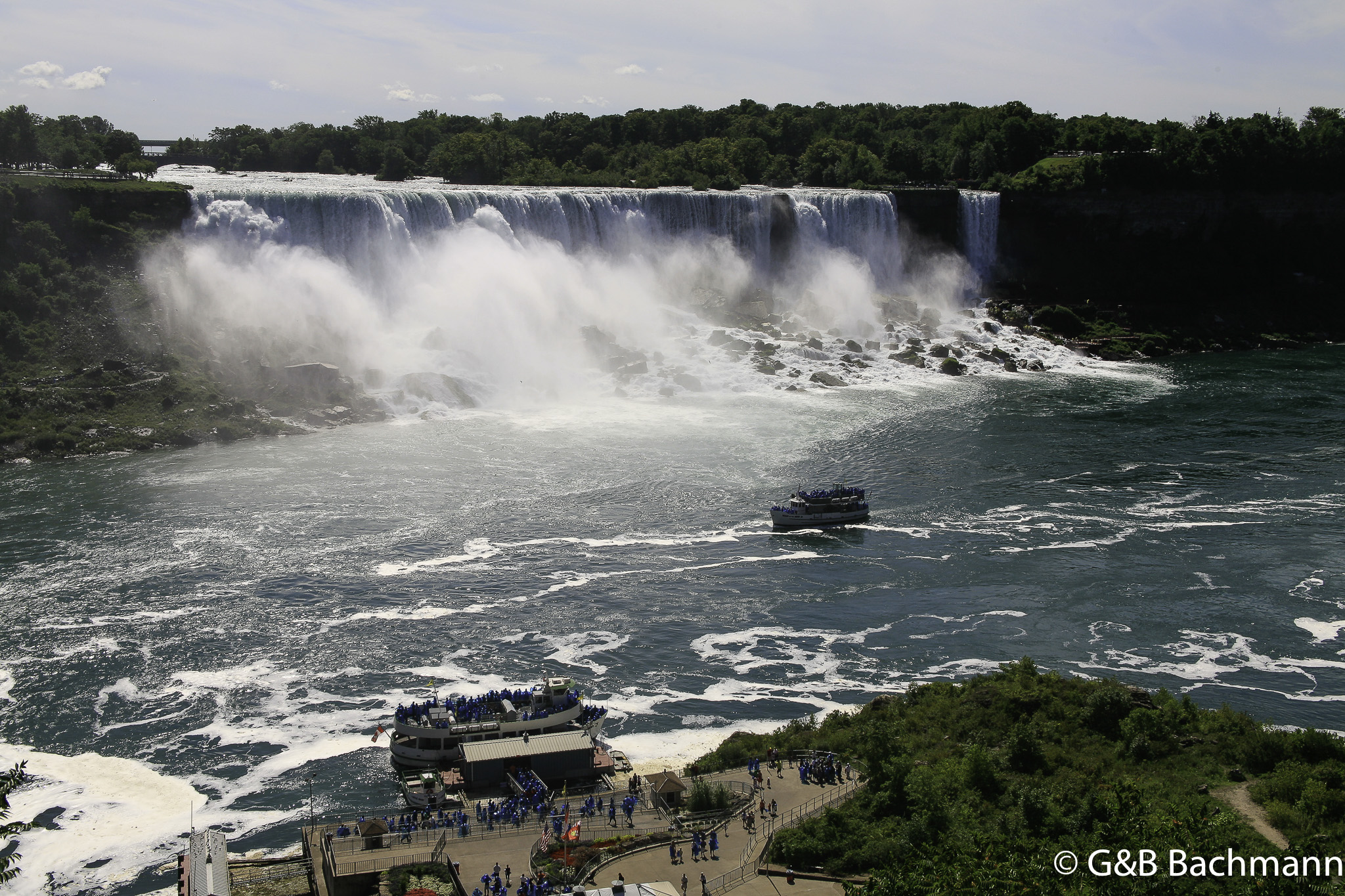 _MG_8893274.jpg