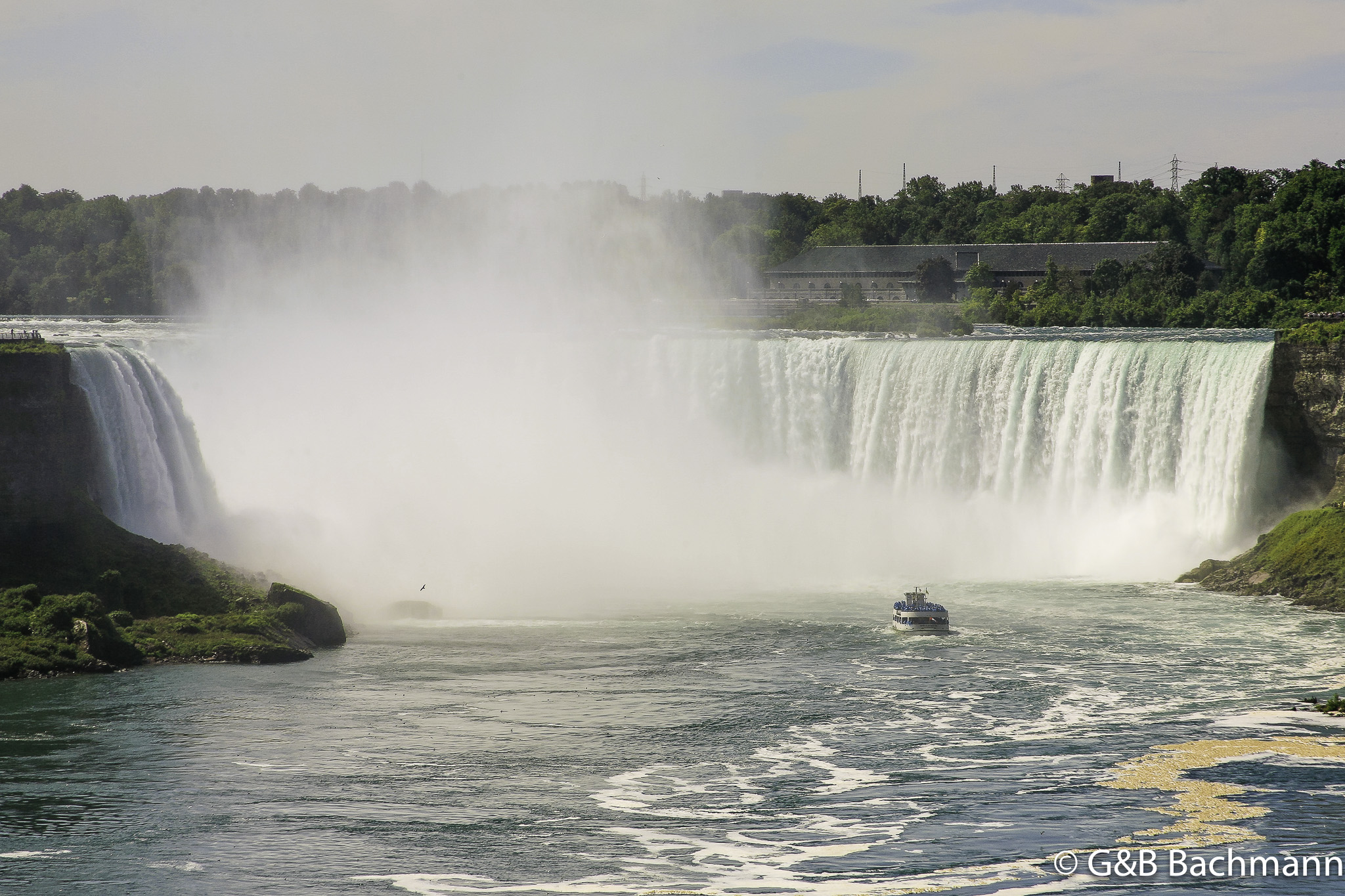 _MG_8894273.jpg