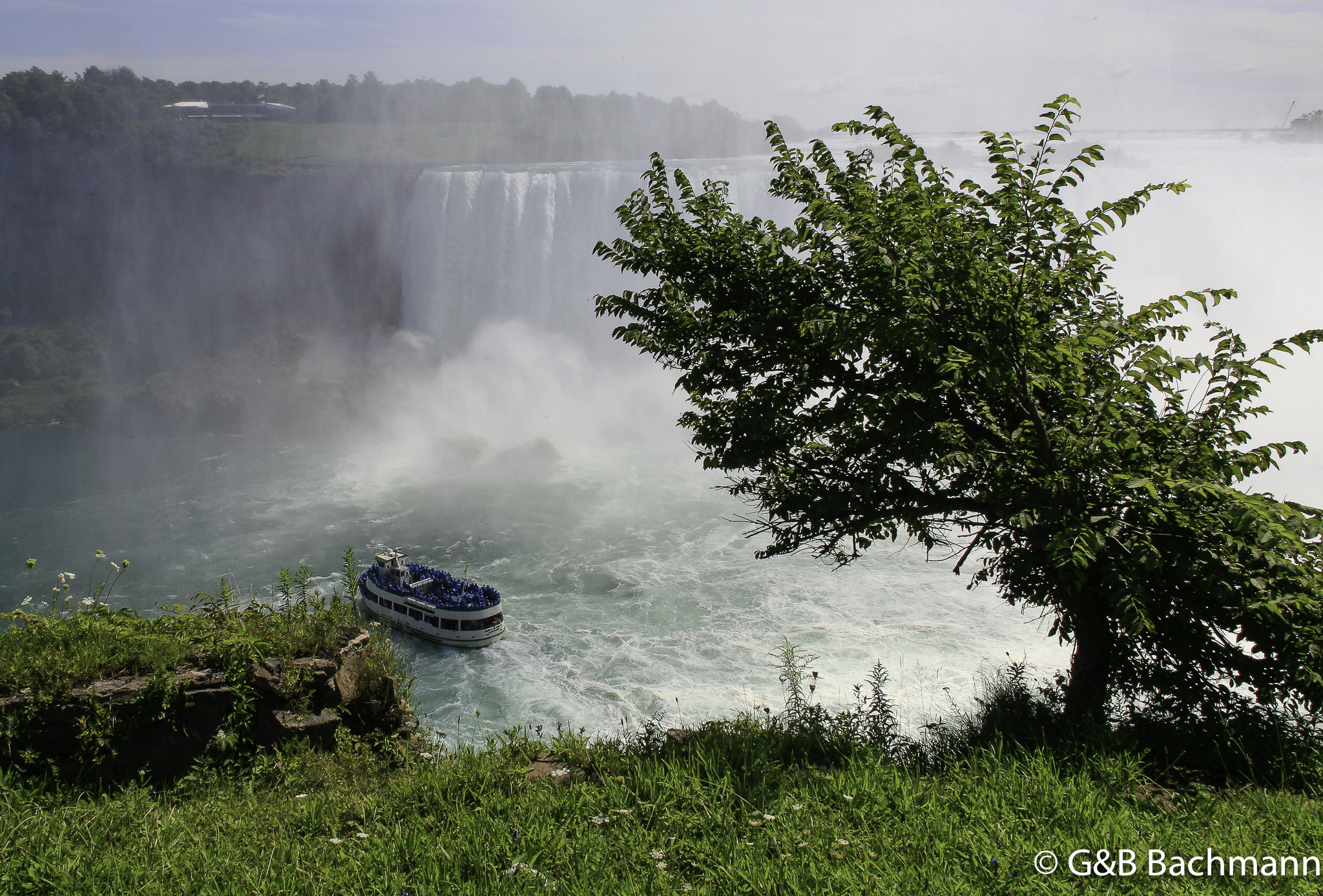 _MG_8904261.jpg