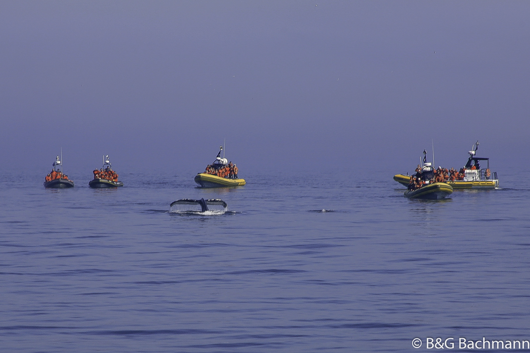 Tadoussac_0039.jpg