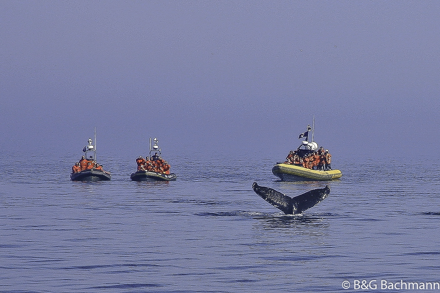 Tadoussac_0041.jpg