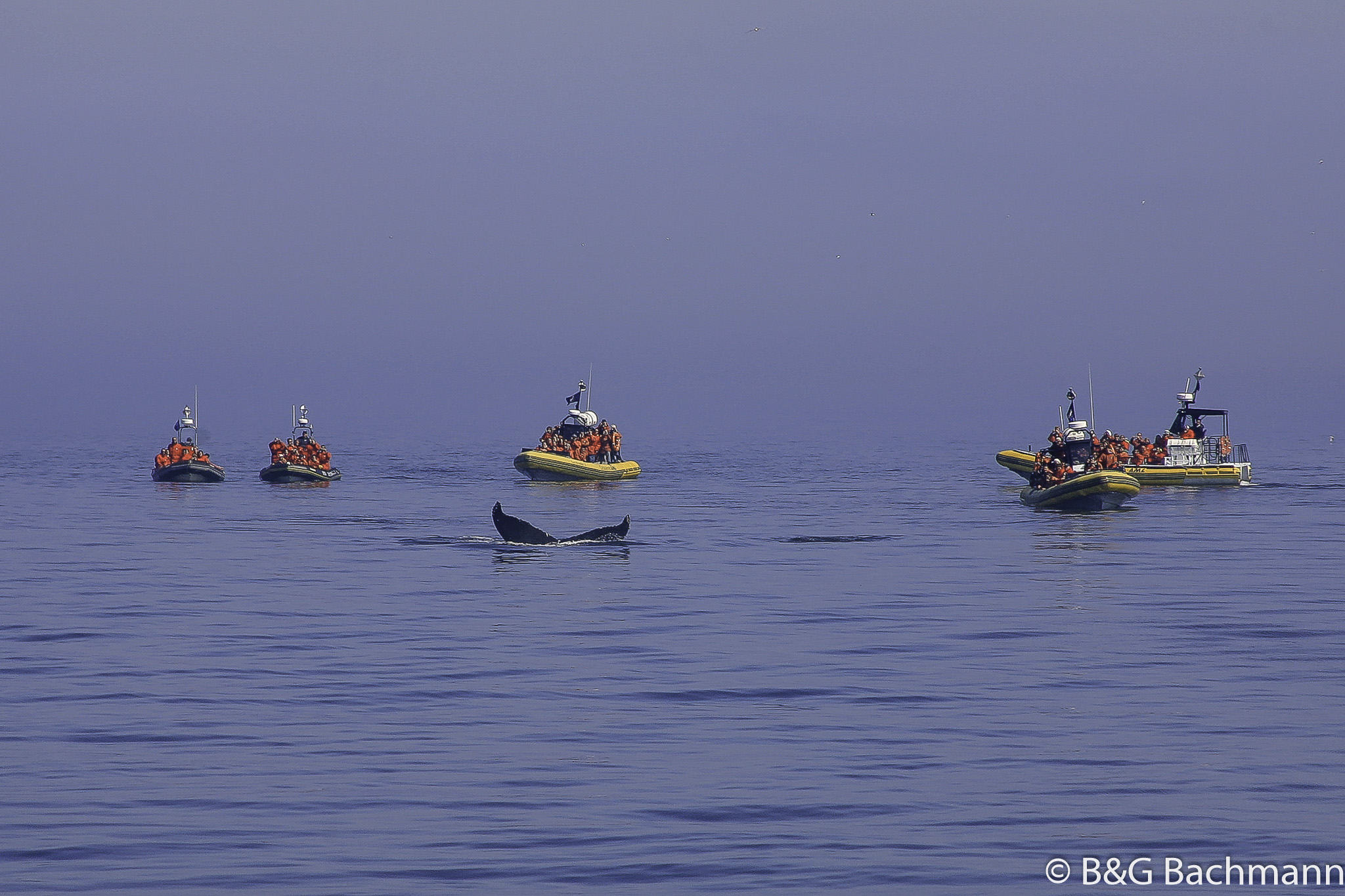 Tadoussac_0042.jpg