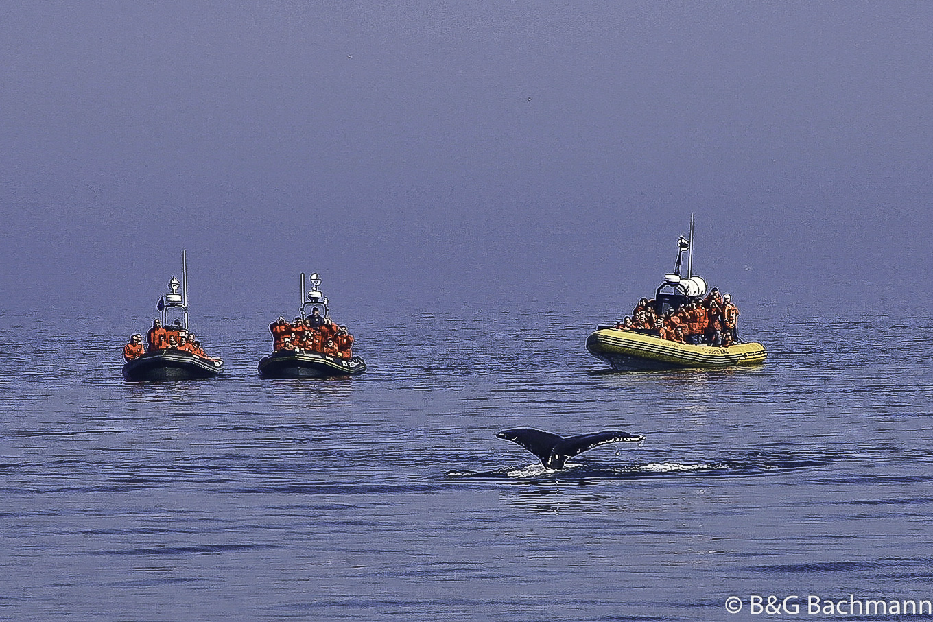 Tadoussac_0045.jpg