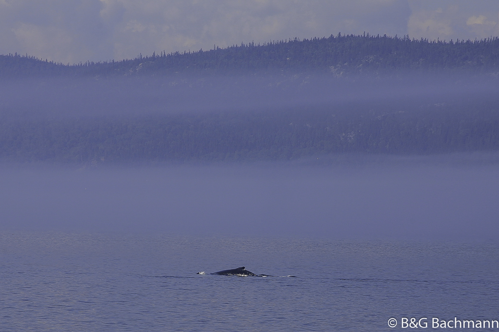 Tadoussac_0052.jpg