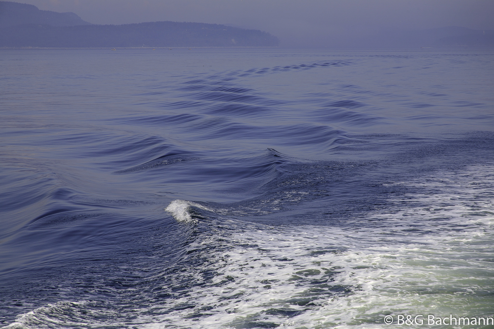 Tadoussac_0062.jpg
