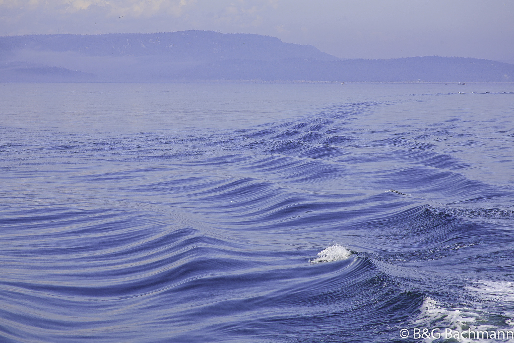 Tadoussac_0063.jpg