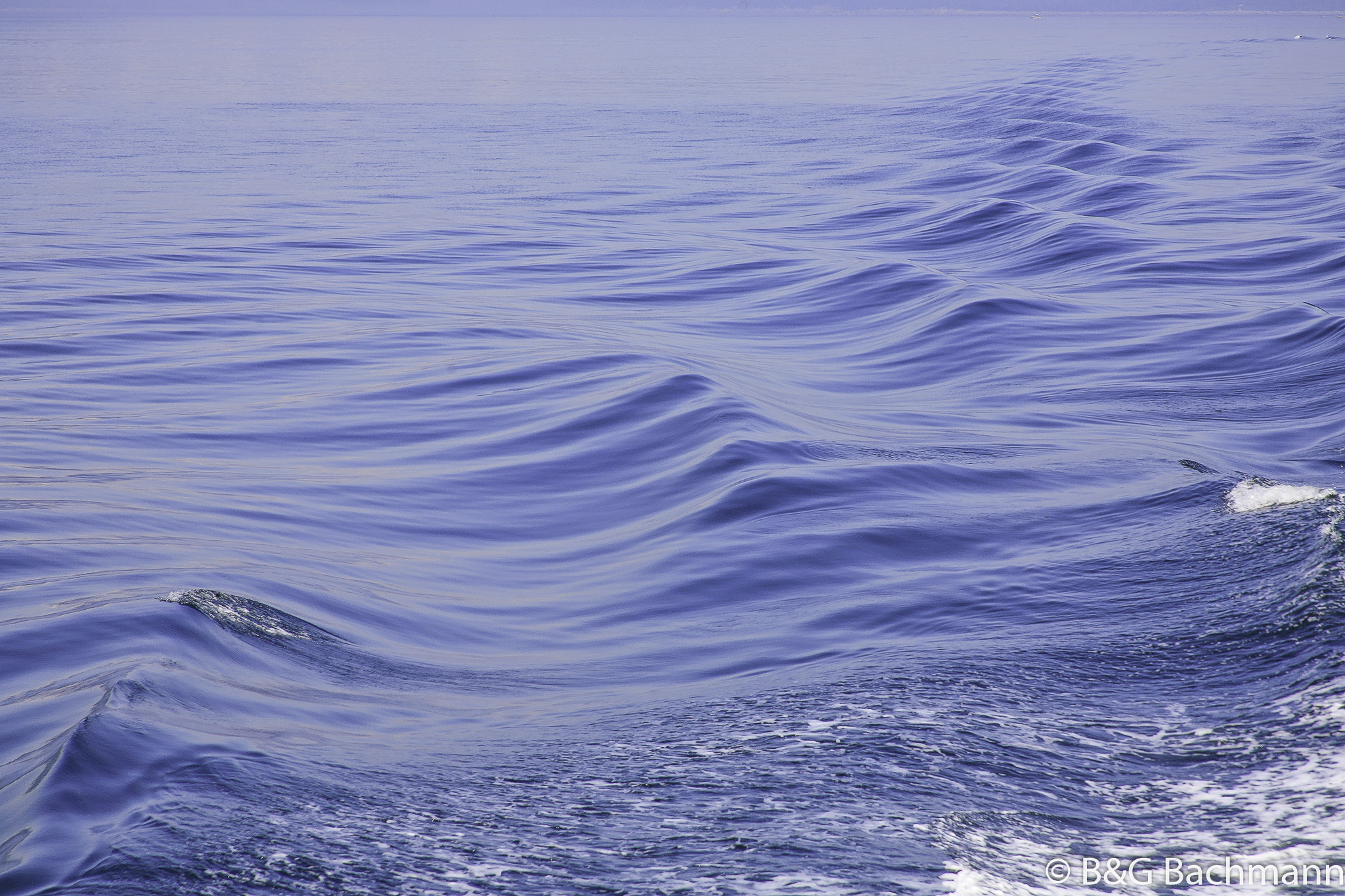 Tadoussac_0064.jpg