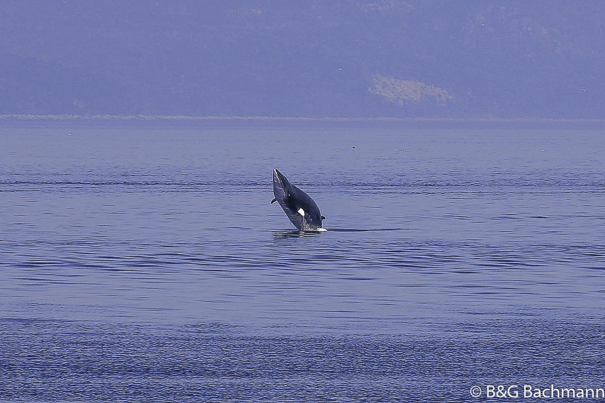 Tadoussac_0073.jpg
