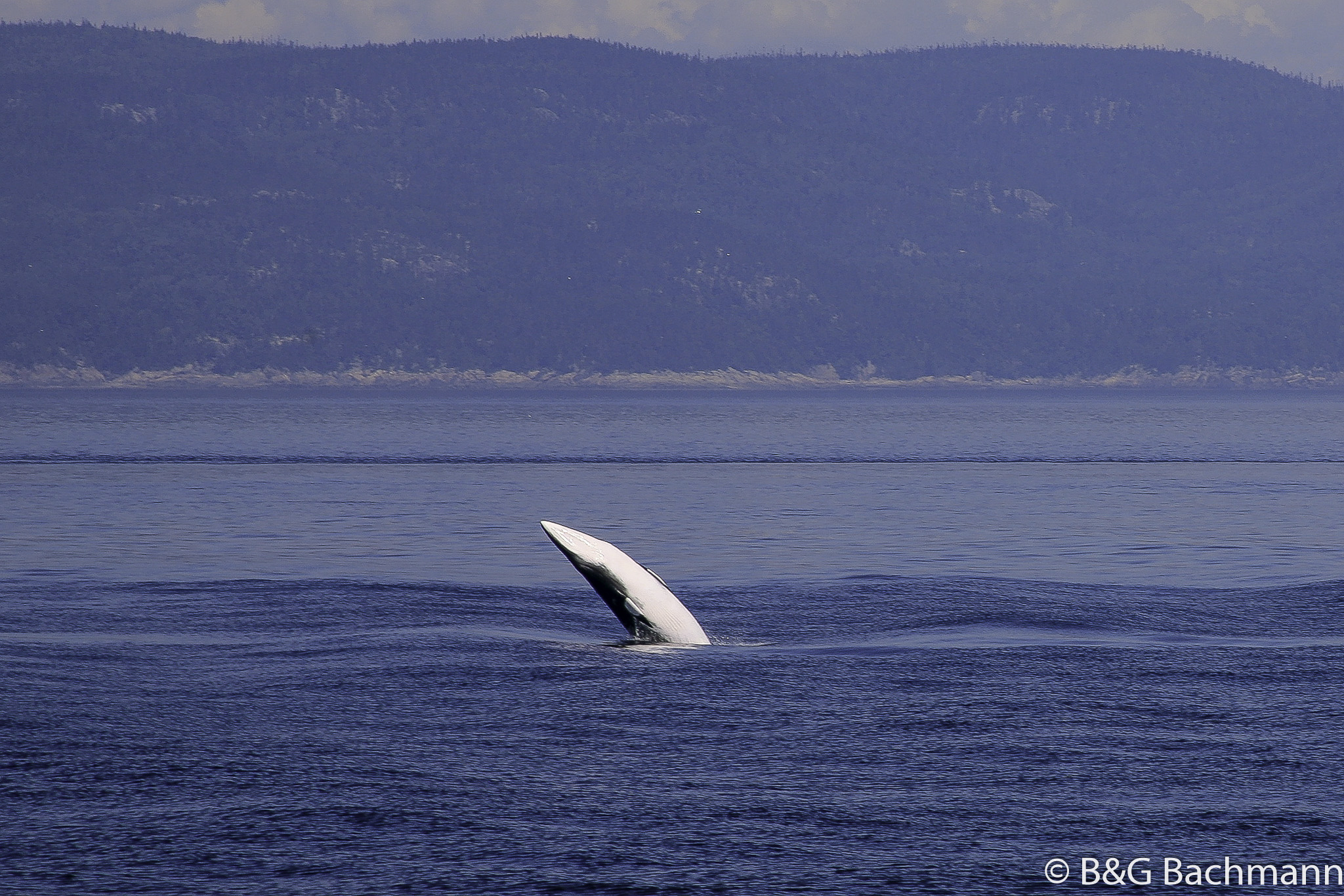 Tadoussac_0078.jpg