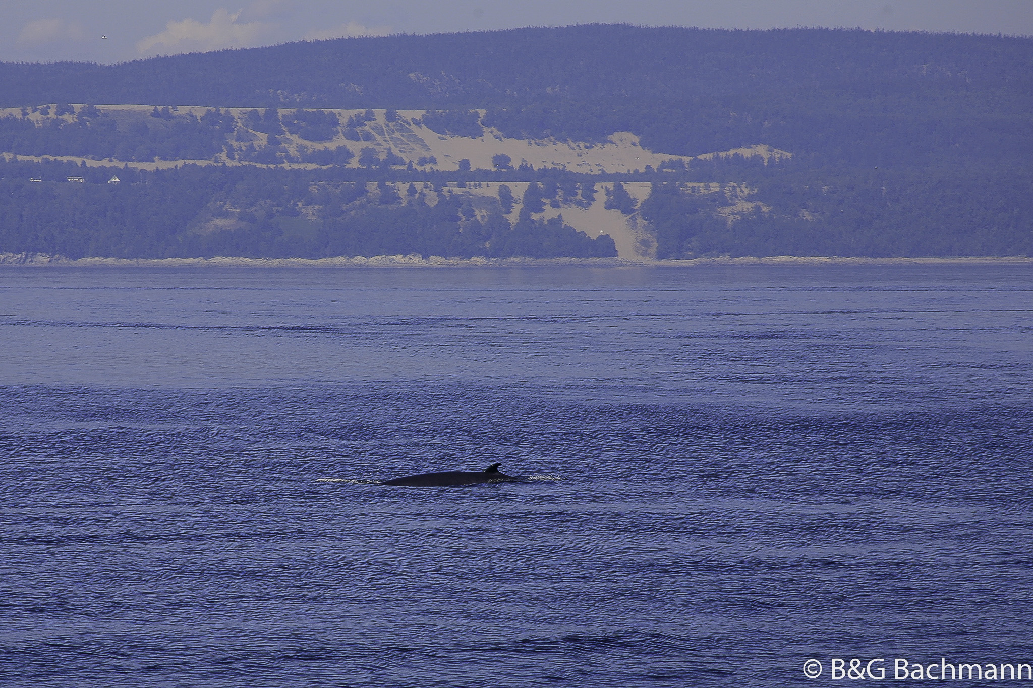 Tadoussac_0079.jpg