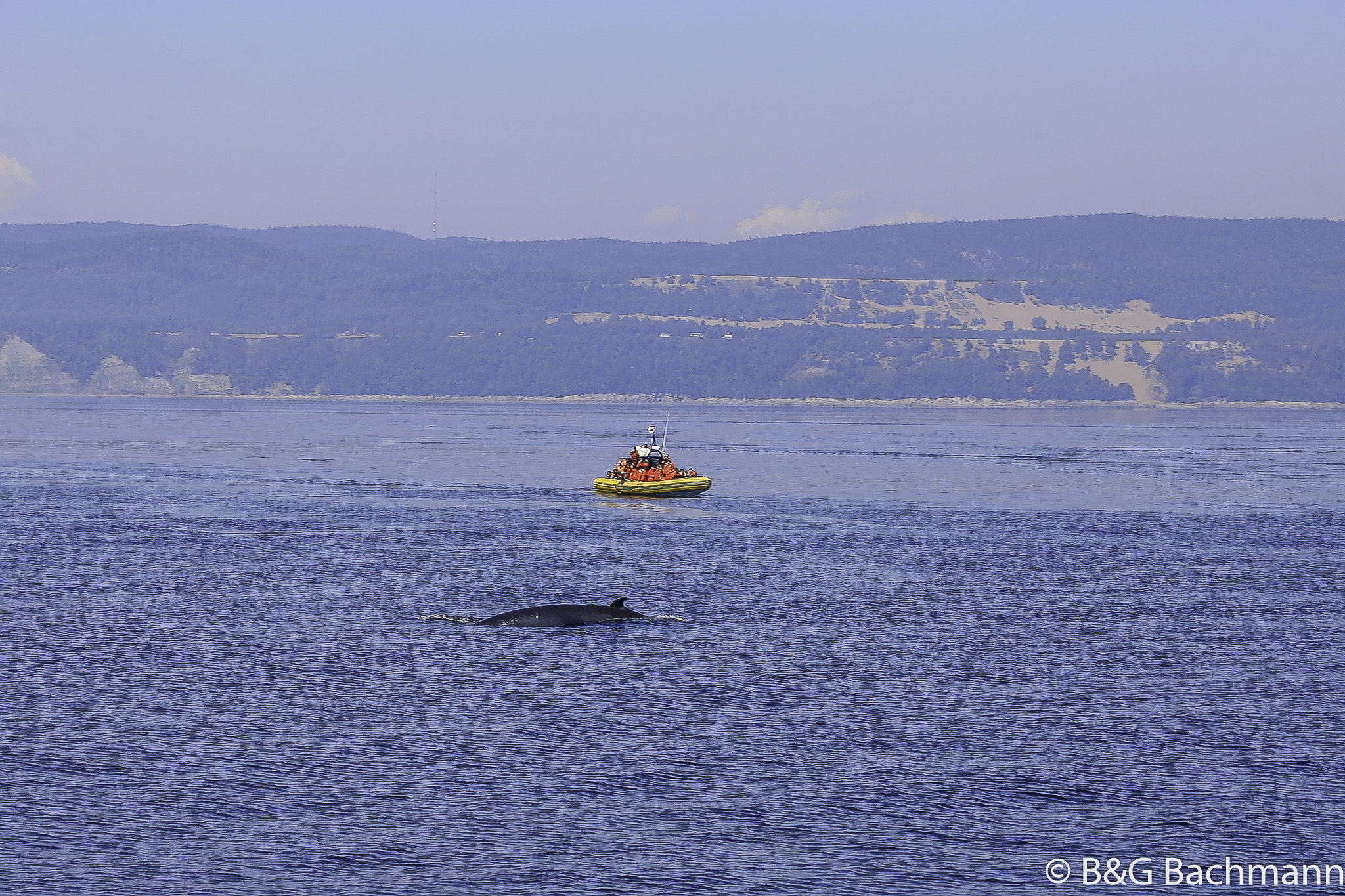 Tadoussac_0080.jpg