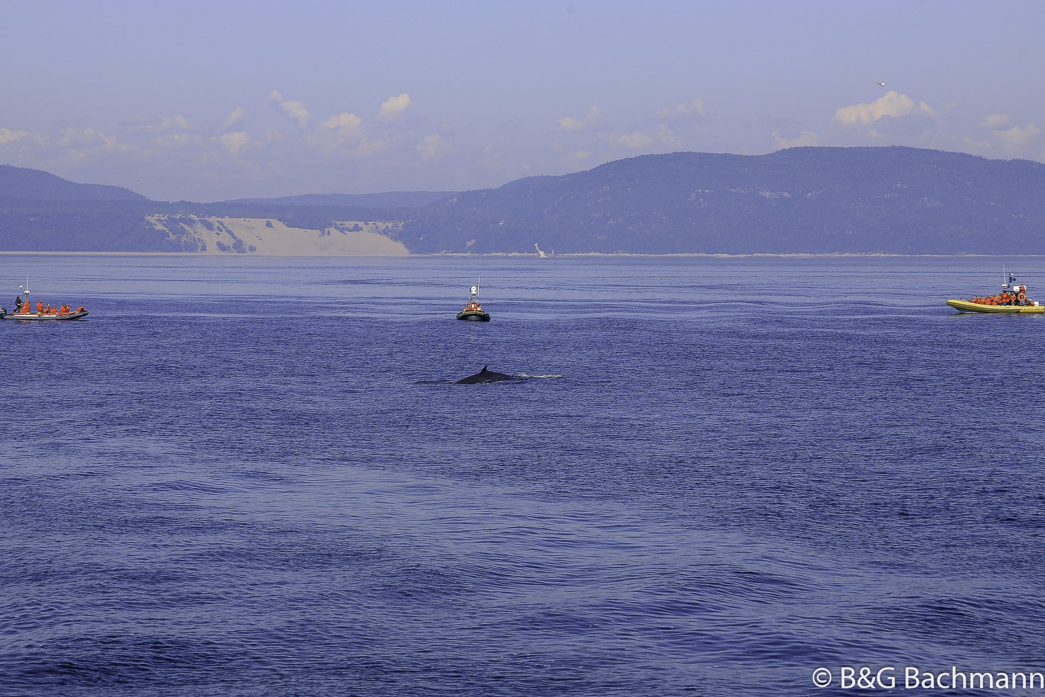 Tadoussac_0081.jpg