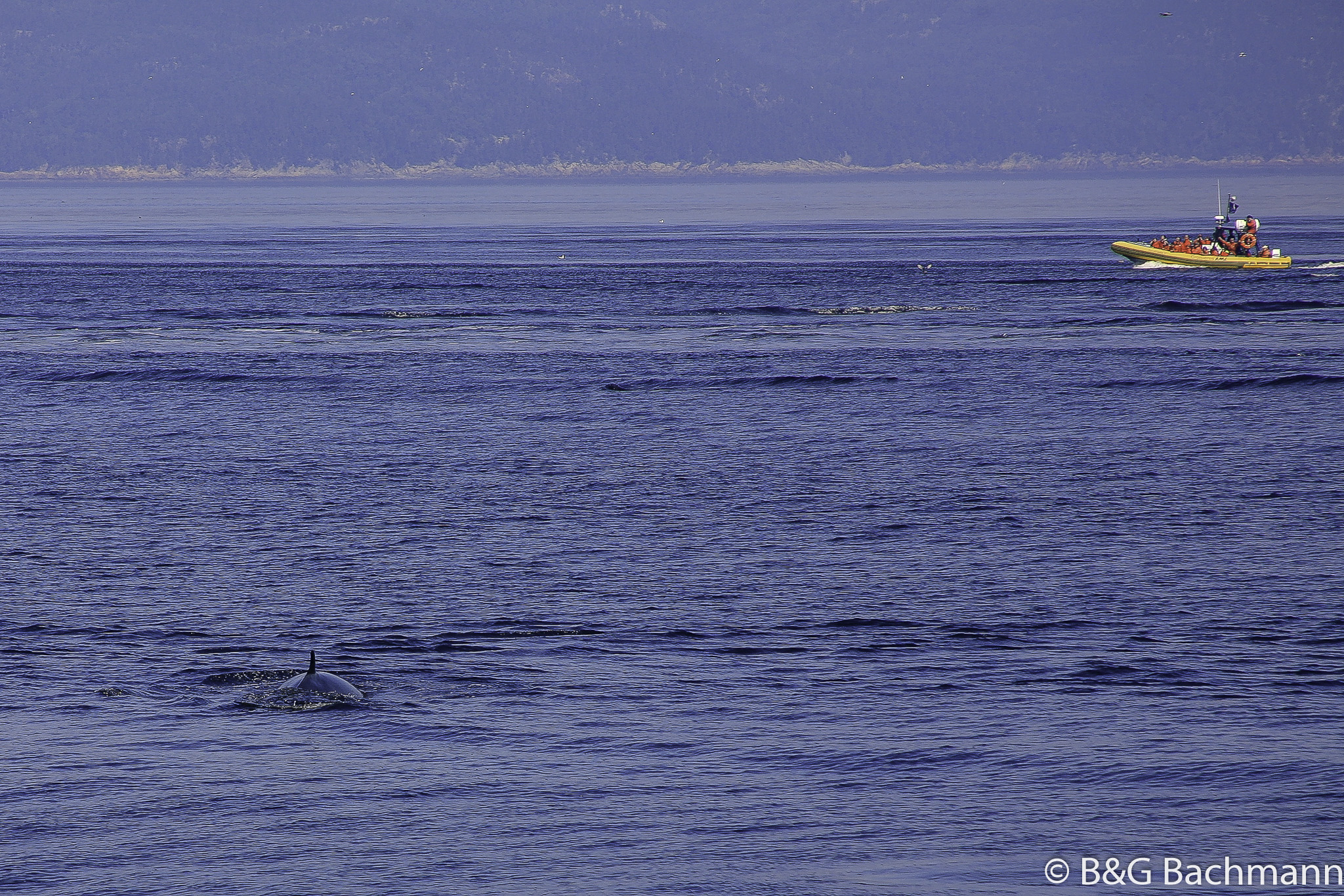 Tadoussac_0083.jpg