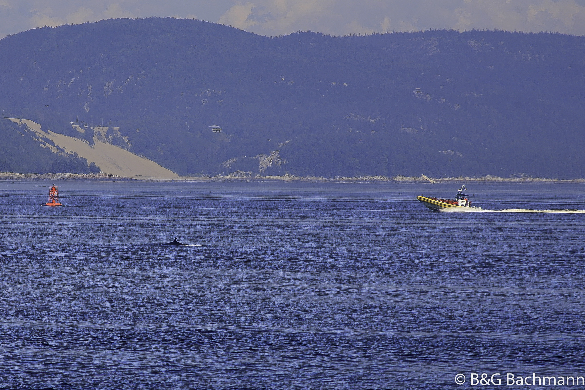Tadoussac_0084.jpg