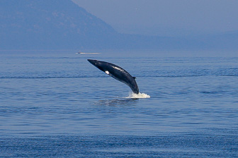 Tadoussac_0070.jpg