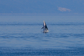 Tadoussac_0072.jpg