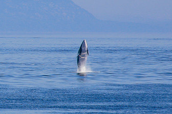Tadoussac_0074.jpg