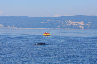 Tadoussac_0080.jpg