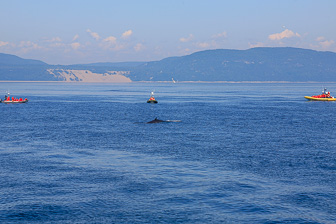 Tadoussac_0081.jpg