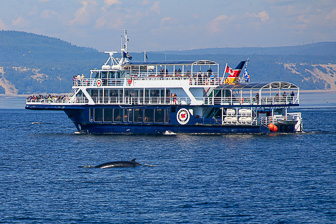 Tadoussac_0082.jpg