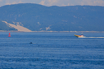 Tadoussac_0084.jpg