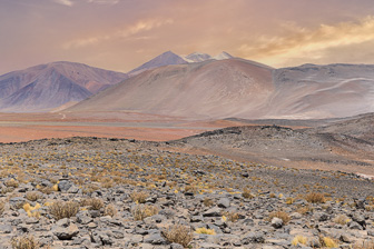 108A2962-Modifier.jpg