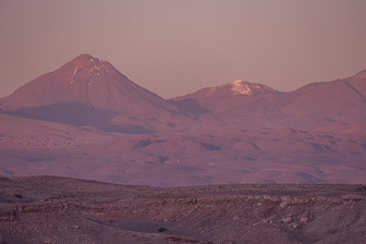 _1080019.jpg