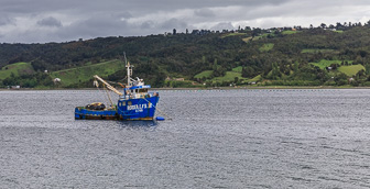 108A1826.jpg